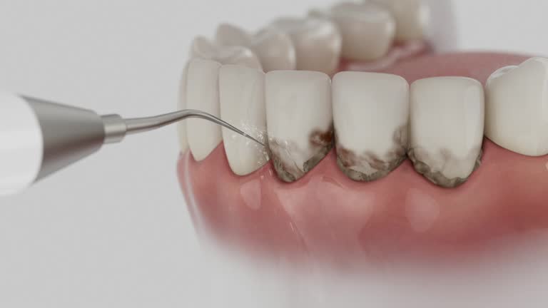 Reliable Dental contractor in Smith Center, KS by Dentist Open Now